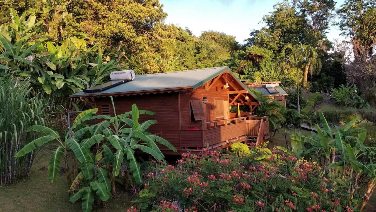 Les Bananes Vertes Ecolodges Saint-Claude Exterior foto