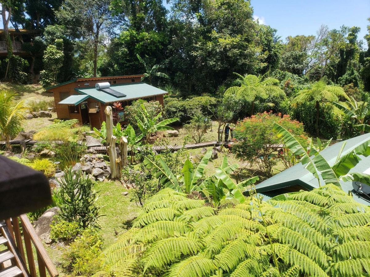 Les Bananes Vertes Ecolodges Saint-Claude Exterior foto