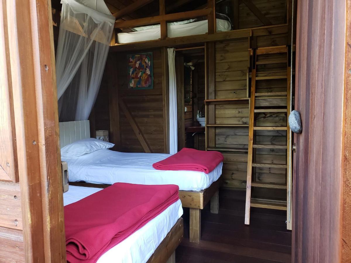 Les Bananes Vertes Ecolodges Saint-Claude Exterior foto
