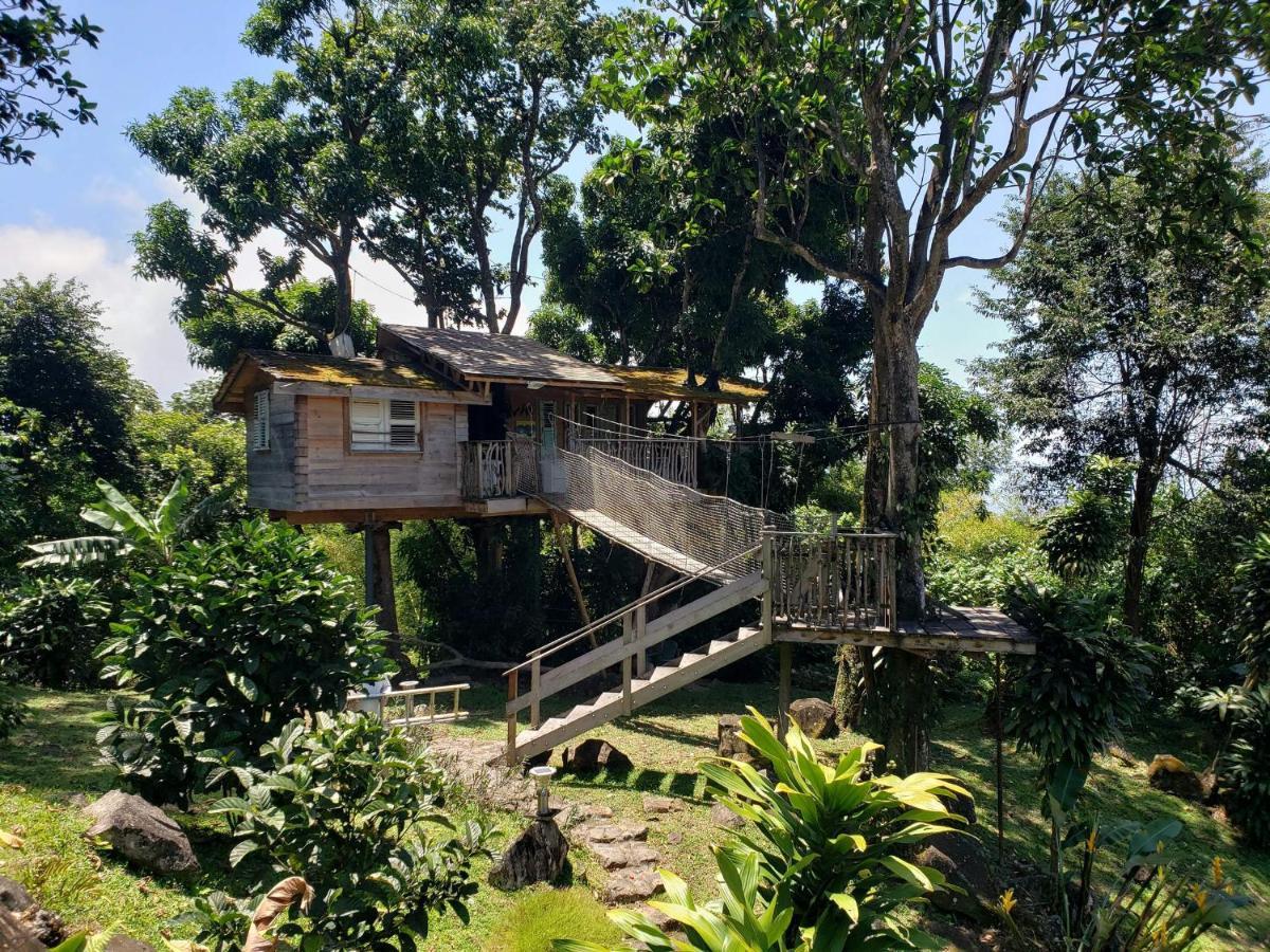 Les Bananes Vertes Ecolodges Saint-Claude Exterior foto