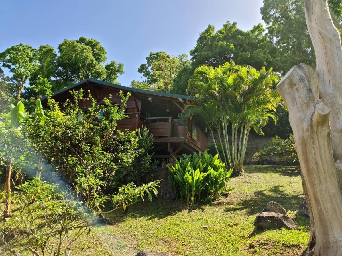 Les Bananes Vertes Ecolodges Saint-Claude Exterior foto