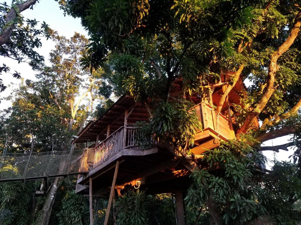 Les Bananes Vertes Ecolodges Saint-Claude Exterior foto