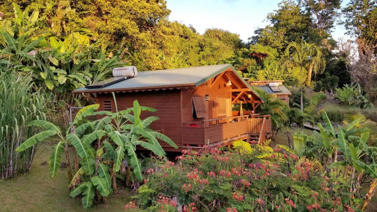 Les Bananes Vertes Ecolodges Saint-Claude Exterior foto