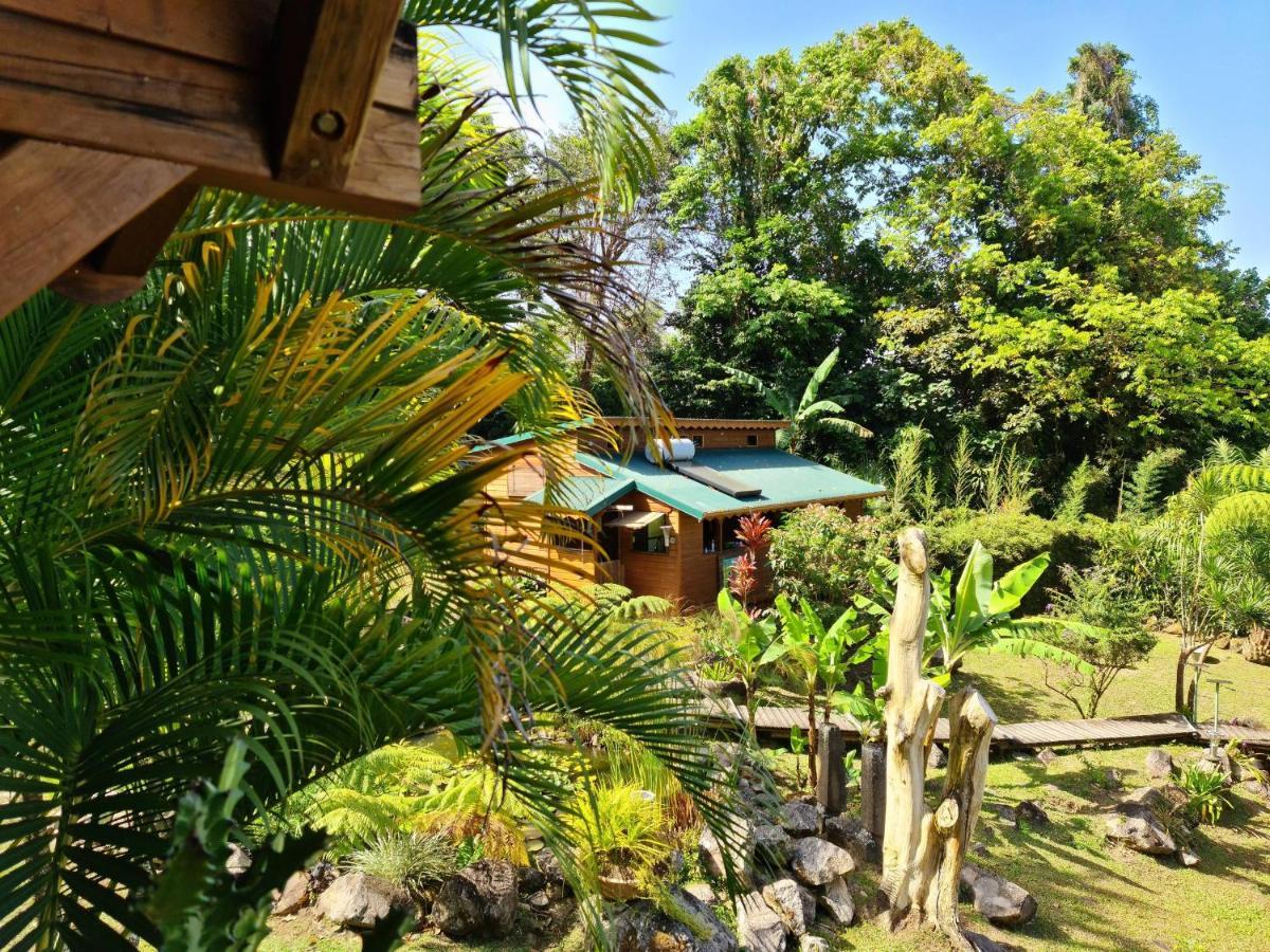 Les Bananes Vertes Ecolodges Saint-Claude Exterior foto