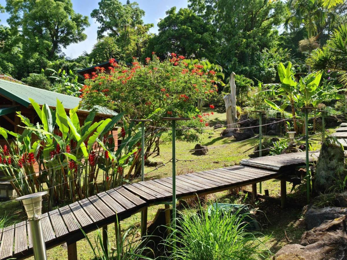Les Bananes Vertes Ecolodges Saint-Claude Exterior foto