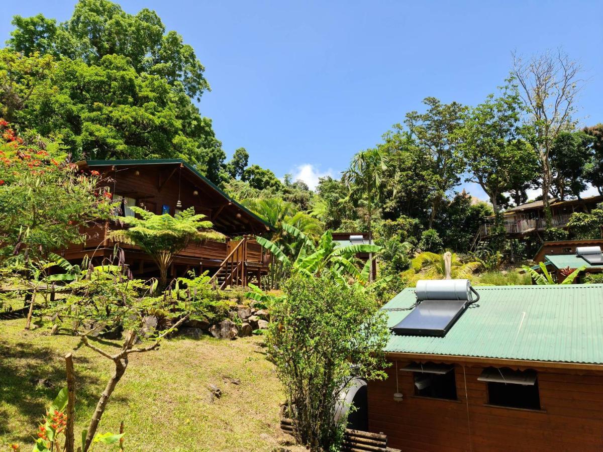 Les Bananes Vertes Ecolodges Saint-Claude Exterior foto