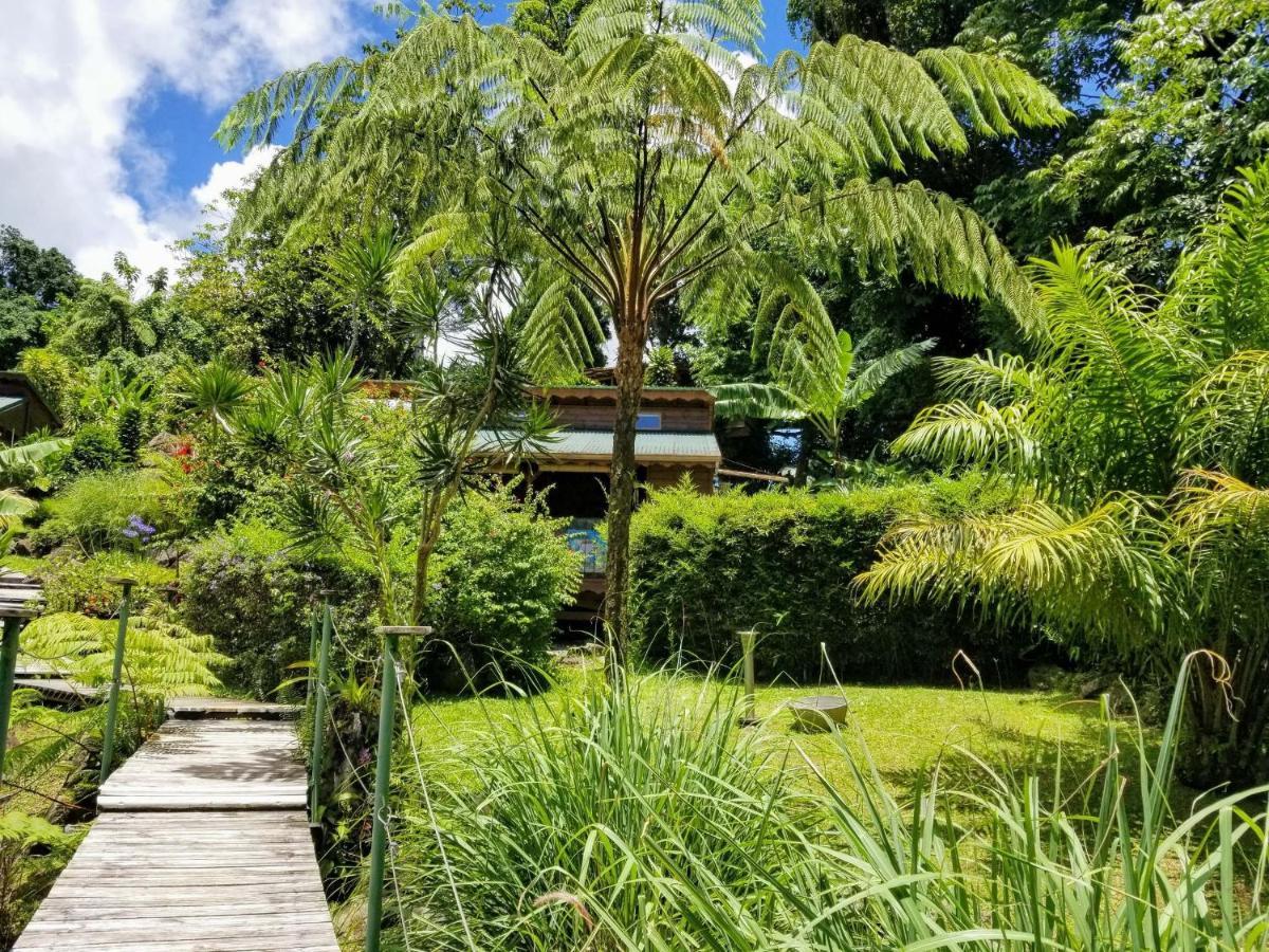 Les Bananes Vertes Ecolodges Saint-Claude Exterior foto