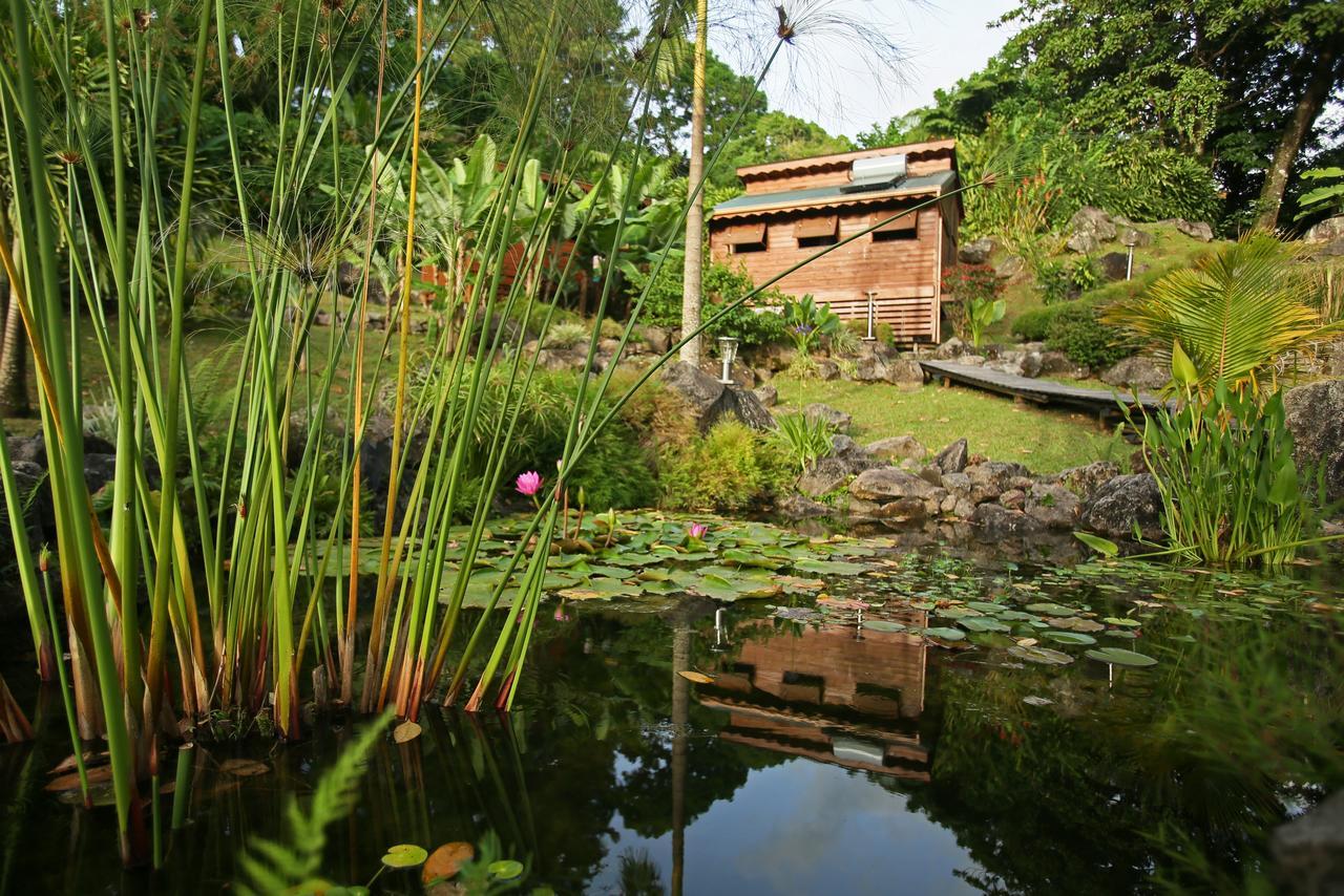 Les Bananes Vertes Ecolodges Saint-Claude Exterior foto